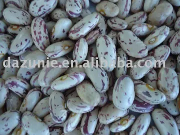 Light Speckled Kidney Beans
