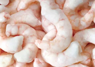 Frozen red shrimp PUD IQF