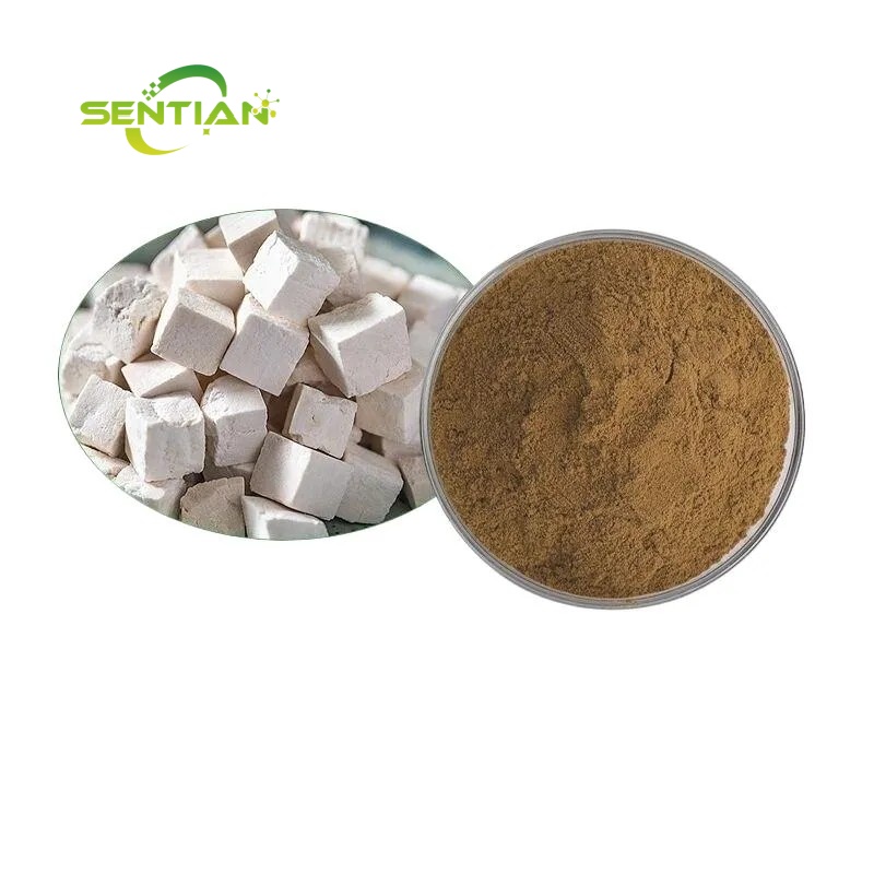 Poria Cocos Extract Powder Polysaccharide 10% - 50%