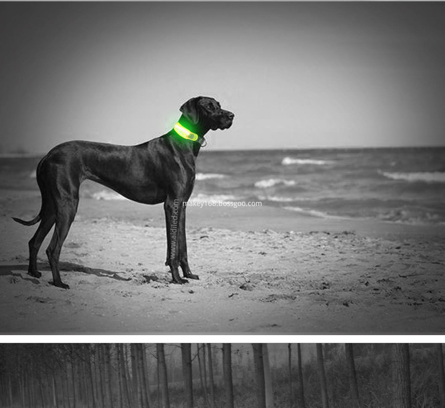 Pet Collar Led Lights