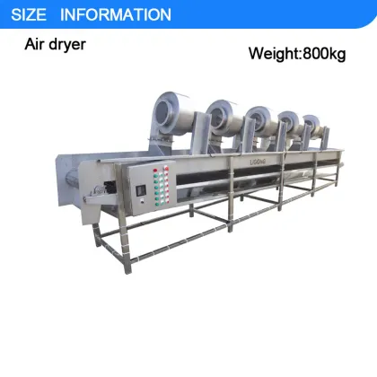 Vegetable and Fruit Cleaning Drying Machine