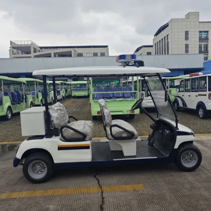 4-seater open new energy vehicle