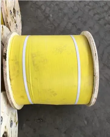 DIP Galvanized Steel Rope 1X7 with High Quality