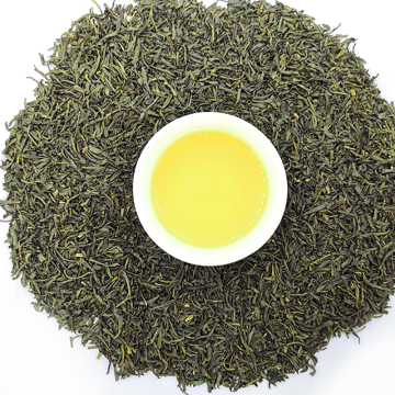 chunmee9371b จำนวนมากซื้อชาเขียวออร์แกนิก - ถุงอัลจีเรียขายส่ง