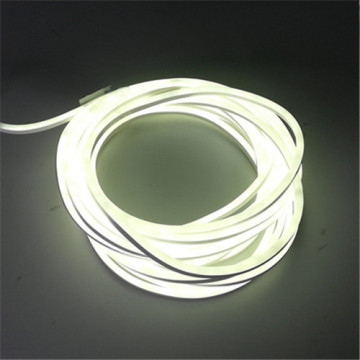 Ordinary Flexible LED Strip Light