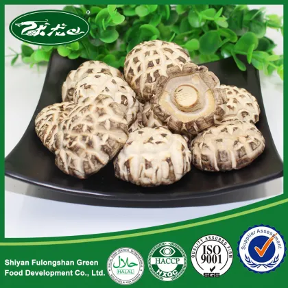 Dreid Flower Mushroom