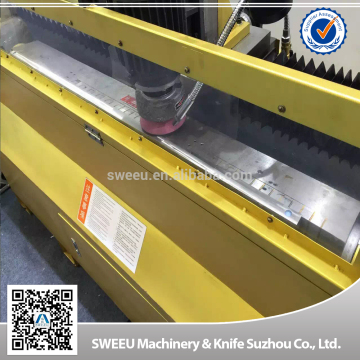 China blade/knife sharpening machine with magnertizer