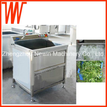 200-300kg/H Stainless Steel Leaf Vegetable Washer Machine