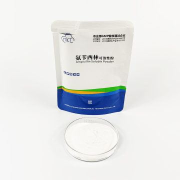 Veterinary medicine Ampicillin soluble powder for poultry