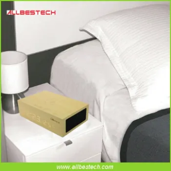 Bluetooth Wireless Speakers Portable,Qi Charger