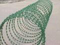 Pvc Painting Razor wire