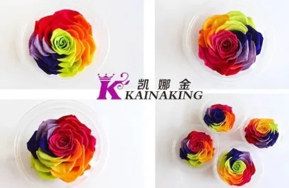 Best Gift: Forever Preserved Colorful Rose Bouquet
