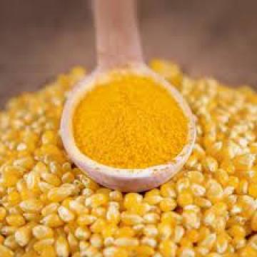 Cost-effective Protein Additives Corn Gluten Meal 60%