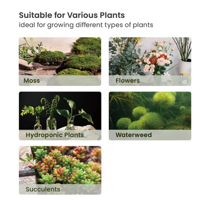 Smart Pots Hydroponic Herb Garden Kit - HGS04-3CB