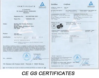 orange colour chain block 3m chain block 6ton chain block