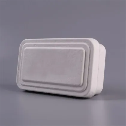 Paper Pulp Molded Underwear Package Box