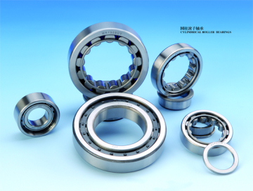 Roller Bearing
