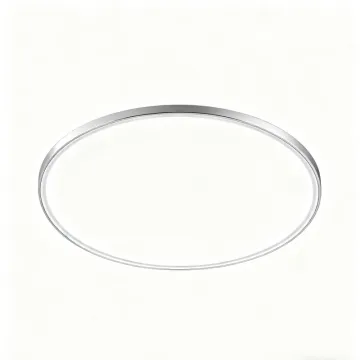 Ceiling Light for Modern Interior Spaces