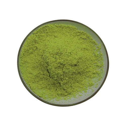 China Freeze Dried Spinach Powder Source Manufacturers Factory