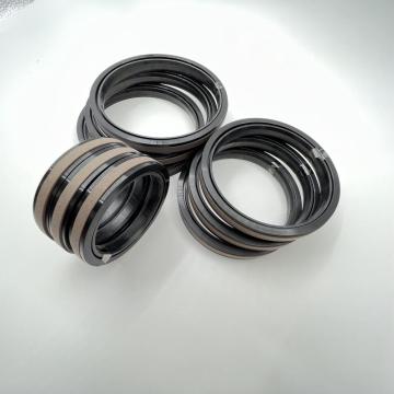 Special seal for SPGW piston seal