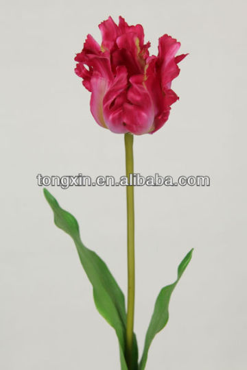 christmas accommodation flower where to find artificial parrot tulips