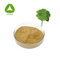 24% Flavone 6% Lacton Ginkgo Biloba Extract Poeder