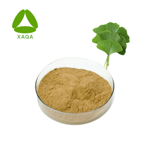 Blood Press Reduce Materials 24% Flavone 6% Lactone Ginkgo Biloba Extract Powder Factory