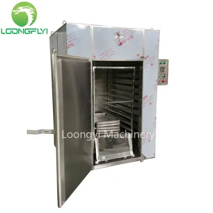 Loongyi 100kg meat melon seeds dryer machine