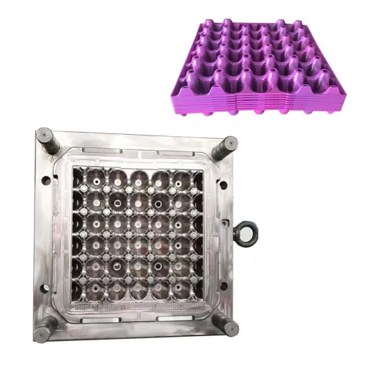 Oem Precision Plastic Injection Egg Tray Mold