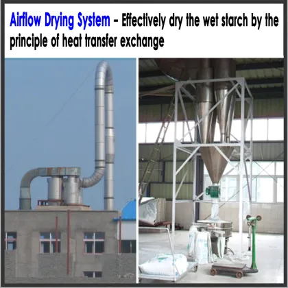 High yield native potato starch processing industry