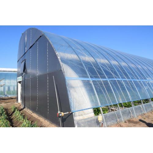 China Energy Efficient Greenhouse Manufactory