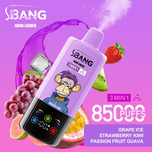 Pemimpin Bang Vape sekali pakai 85000 puff 85k