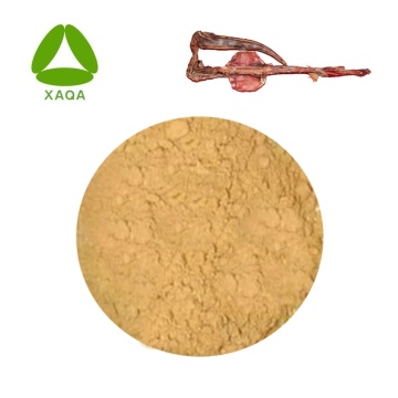 Male Sexual Enhancement Material Deer Whip Extract Powder