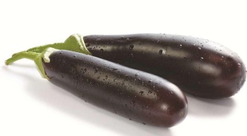 The Egplant Was Carefully Packaged In A Bag