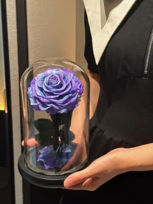 Factory Direct Glass Globe Eternal Single Rose - Preserved Flower Valentine Gift