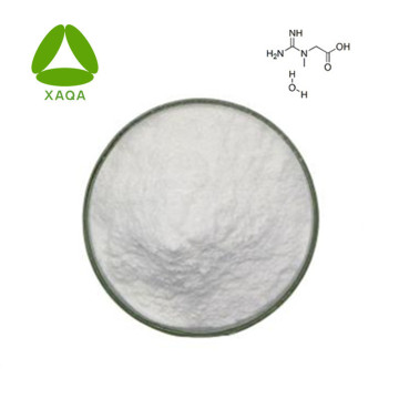 Poudre de monohydrate de créatine CAS 6020-87-7