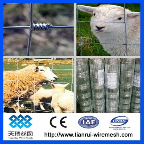 Hot dipped galvanized cattle fence/galvanized farm fence