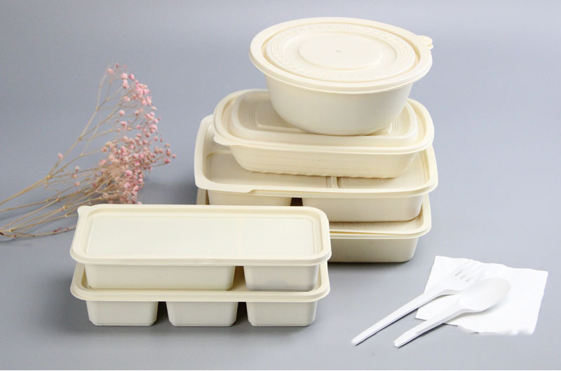 Biologisch abbaubare Zuckerrohr -Bagasse -Teller für Party