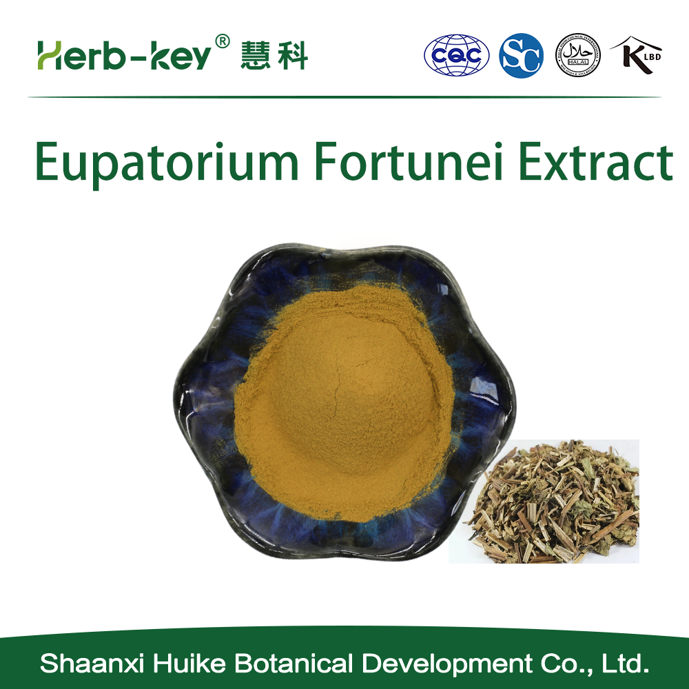 10: 1 mit Polysaccharid -Eupatorium -Fortunei -Extrakt enthält
