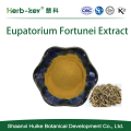 10: 1 contenant l&#39;extrait de polysaccharide eupatorium fortunei