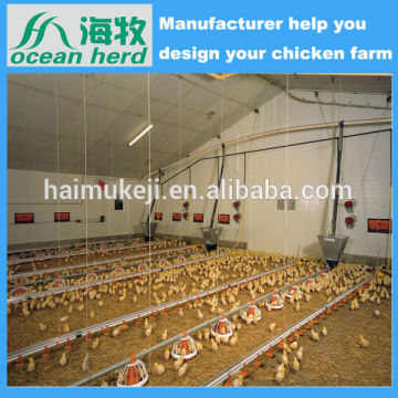 Cina Attrezzatura da allevamento di pollo di alta qualità automatica