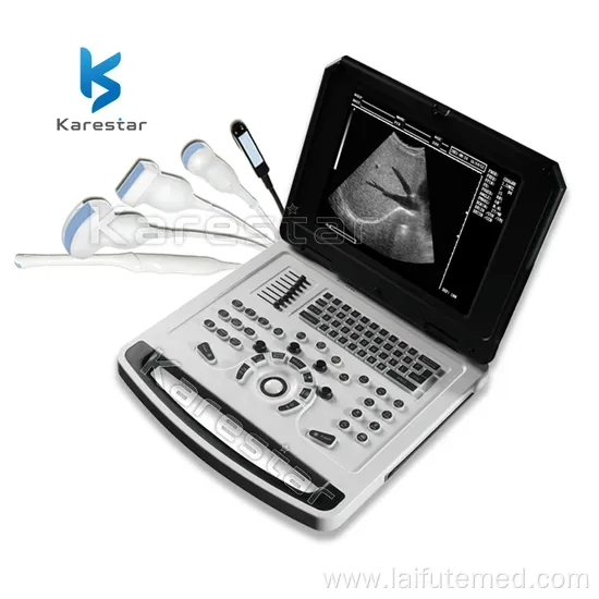 Portable B/W Ultrasound Diagnostic System