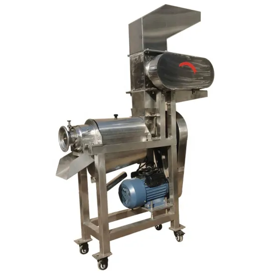 Screw Juice Extractor: Industrial Cold Press Juicer for Fruits and Vegetables at Home