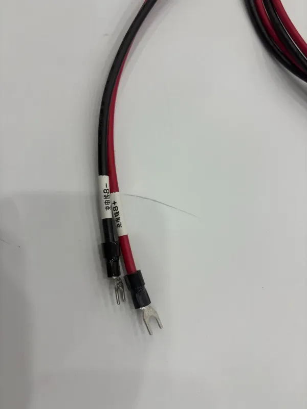 Custom Power Exchange Cabinet Wiring Harness Assembly