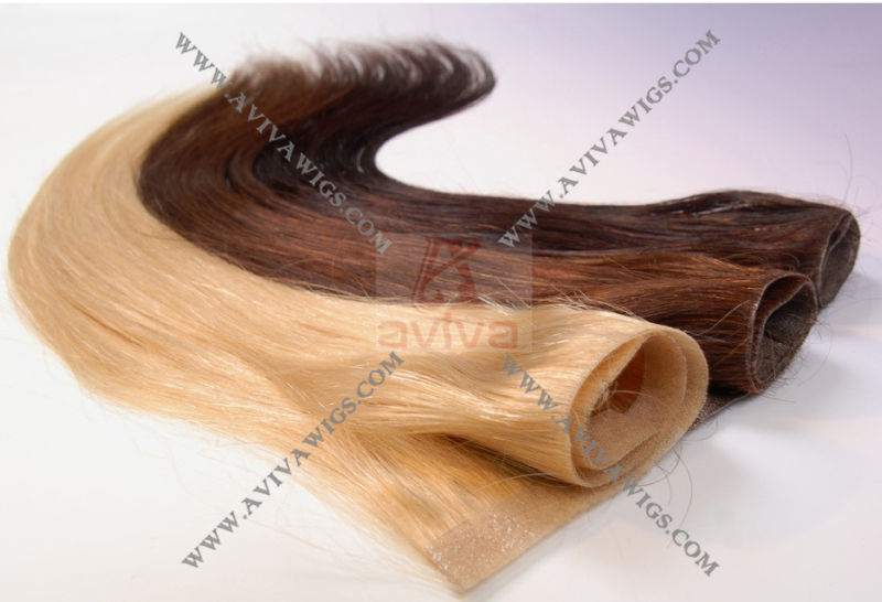 100% Remy PU Skin Weft Human Hair Extension (AV-HE04)