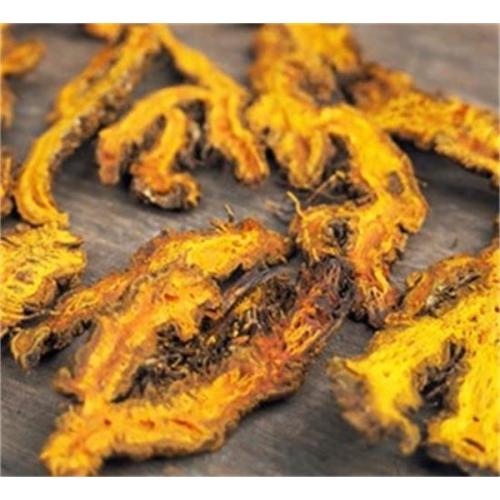 coptis chinensis root extract