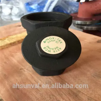 NPT END Y STRAINER