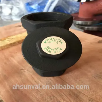 NPT END Y STRAINER