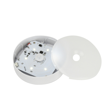 Acrylic LED Night Light Socket Wall Indoor Kids LED Night Light