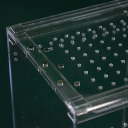 Customizable Acrylic Turtle rearing box